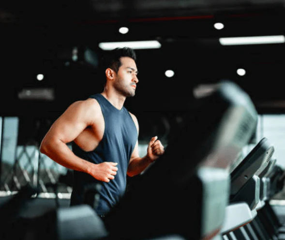 Waxy Maize - Carbohydrate Supplement