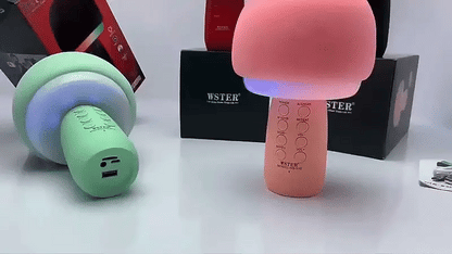 Wster - Wireless Microphone Speaker