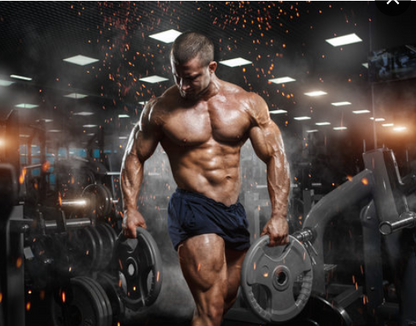 Magnum Quattro - 4-Stage Protein Isolate (Original) ©