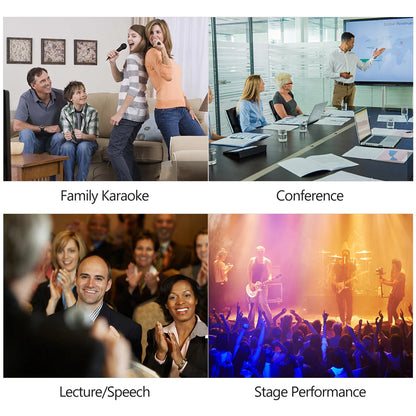 Dual-Use Professional Vocal Microphone