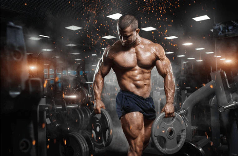 NP Nutrition - L-Glutamin & BCAA (Original)