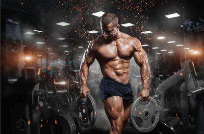 NP Nutrition - L-Glutamin & BCAA (Original)